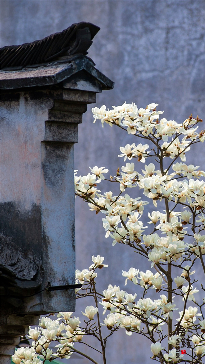 1554685322832118.jpg 微信圖片_20190408085532.jpg