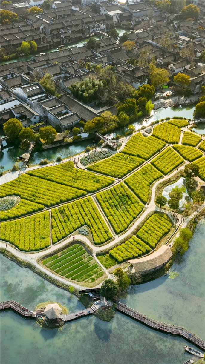 1554685386434643.jpg 微信圖片_20190408085549.jpg