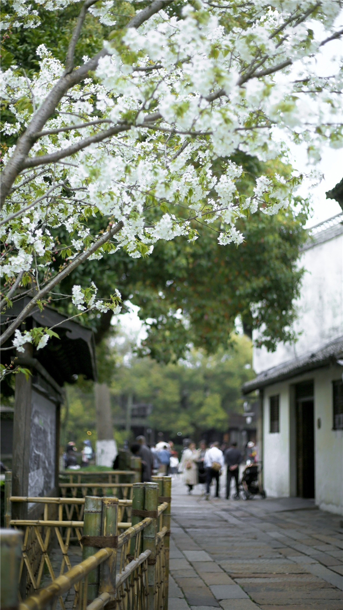 1554685403237650.jpg 微信圖片_20190408085553.jpg