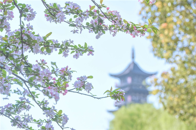 1554685468811423.jpg 微信圖片_20190408085601.jpg