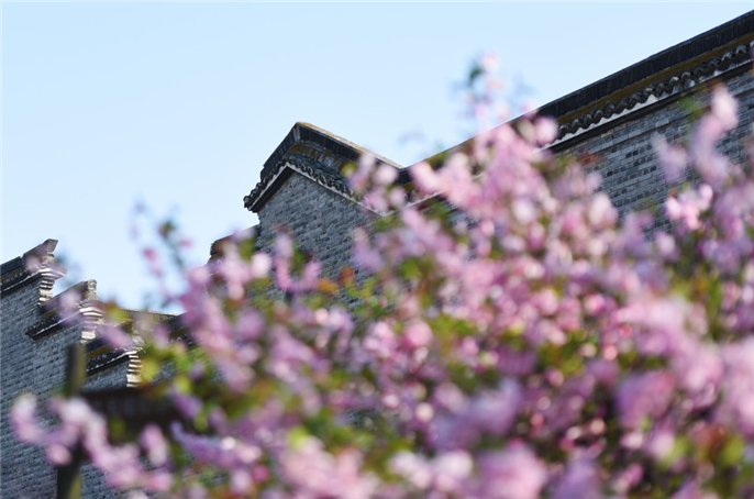 1555122355855557.jpg 微信圖片_20190413102229.jpg