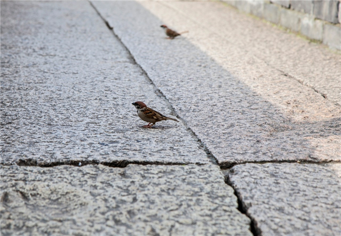 1555745553788383.jpg 微信圖片_20190420152839.jpg