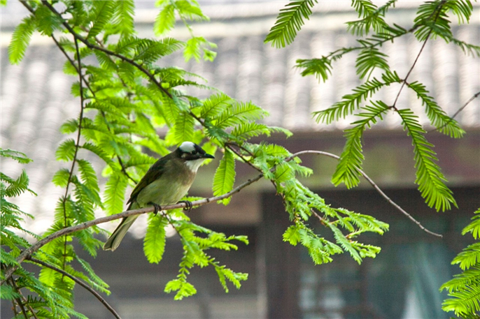 1555745561765621.jpg 微信圖片_20190420152842.jpg