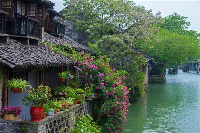 1557647224926347.jpg 微信圖片_20190512154548.jpg