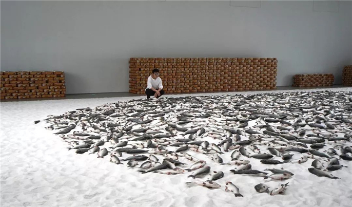 1561510276214746.jpg 微信圖片_20190626082056.jpg