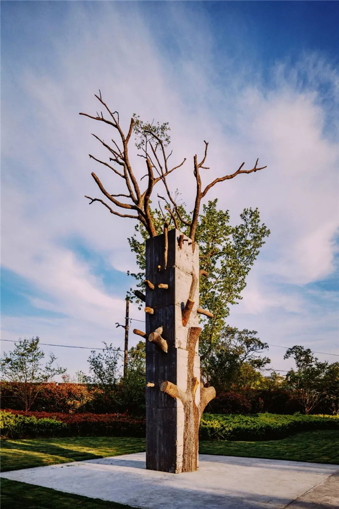 1561511476848466.jpg 微信圖片_20190626083402.jpg