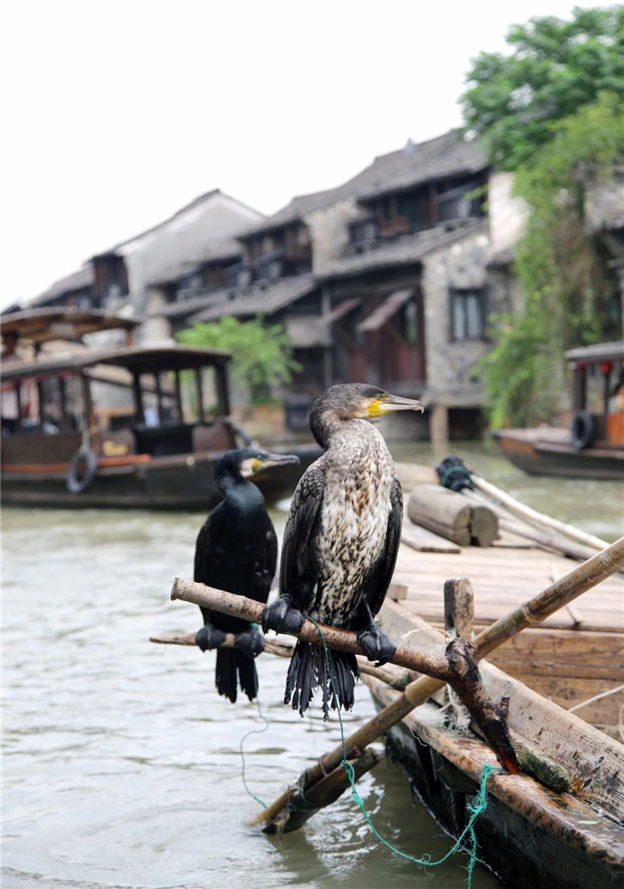 1563446758501337.jpg 微信圖片_20190718111733.jpg