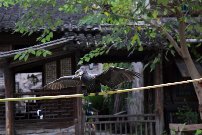 1563446771454760.jpg 微信圖片_20190718111736.jpg