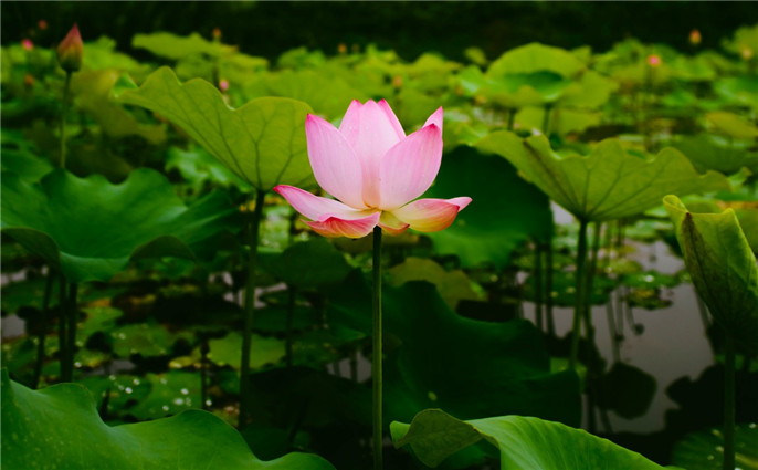 1563498178865436.jpg 微信圖片_20190719085945.jpg