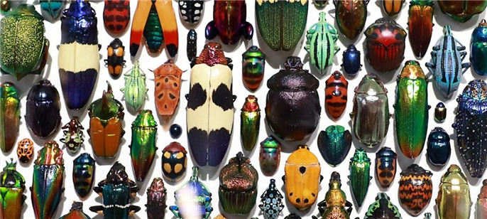 1563754424175930.jpg 微信圖片_20190722080652.jpg