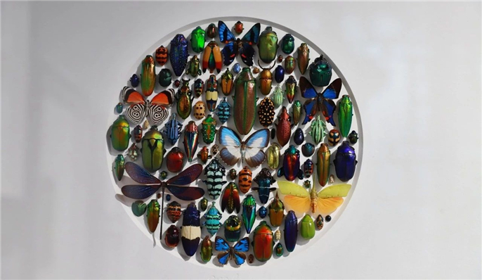 1563754431304644.jpg 微信圖片_20190722080800.jpg