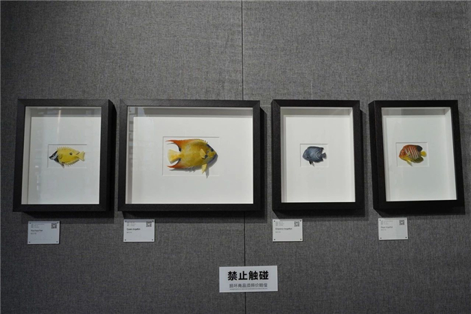 1563754490920747.jpg 微信圖片_20190722080853.jpg