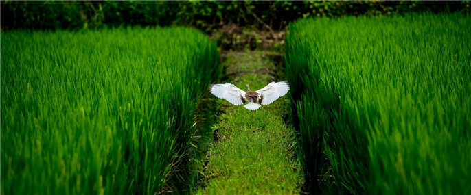 1563754656841892.jpg 微信圖片_20190722080922.jpg