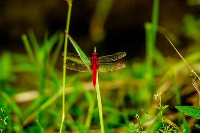 1563754666713616.jpg 微信圖片_20190722080927.jpg