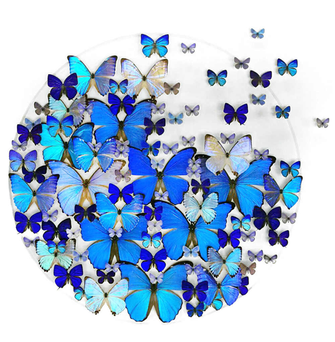 1563754705498775.jpg 微信圖片_20190722080940.jpg