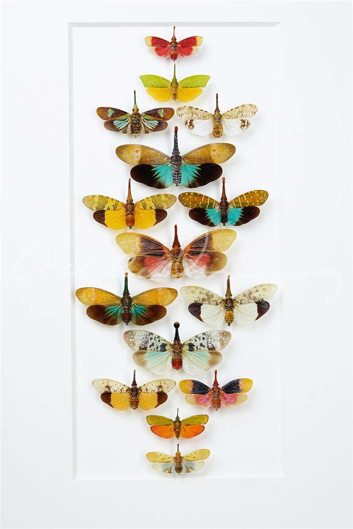 1563754719483748.jpg 微信圖片_20190722080943.jpg