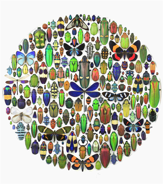 1563754727489834.jpg 微信圖片_20190722080945.jpg