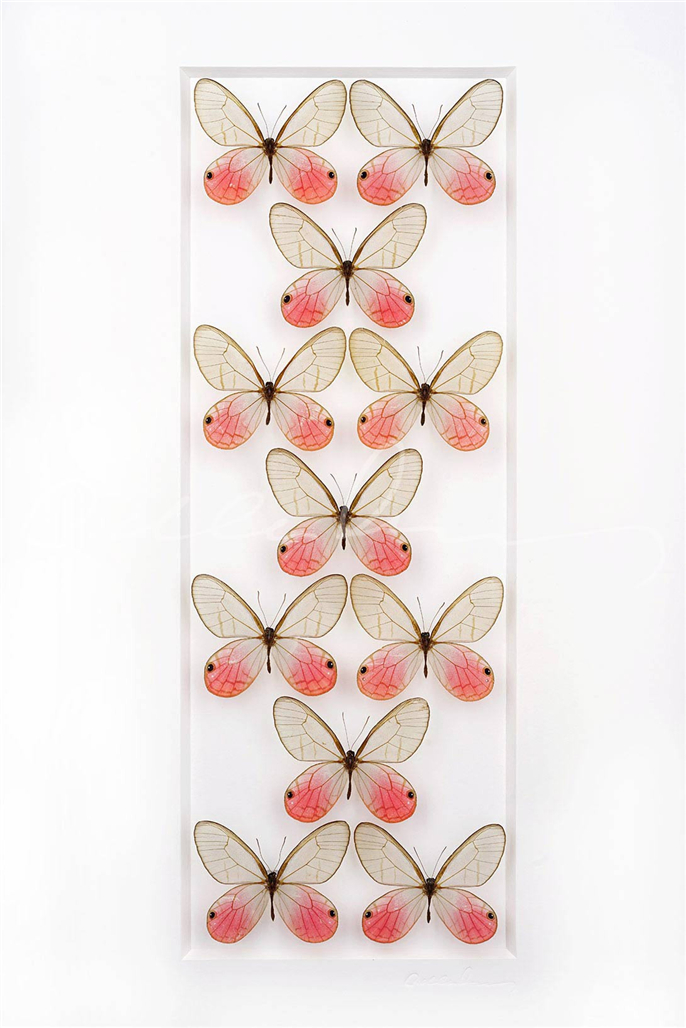 1563754734942515.jpg 微信圖片_20190722080949.jpg