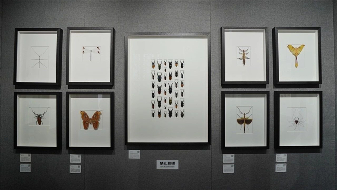 1563754764855570.jpg 微信圖片_20190722080953.jpg