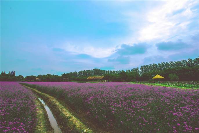 1563859394964481.jpg 微信圖片_20190723131526.jpg