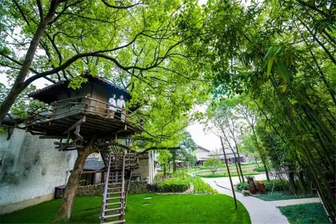 1564125340278883.jpg 微信圖片_20190726111806.jpg