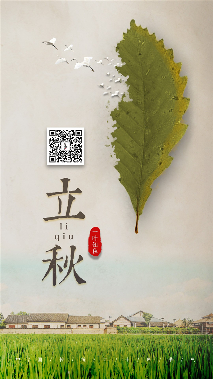 1565309089635053.jpg 微信圖片_20190809080224.jpg