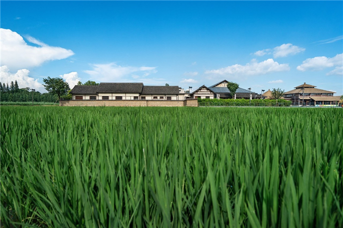 1565309101512673.jpg 微信圖片_20190809080236.jpg