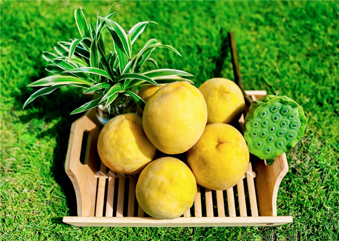 1565309196707533.jpg 微信圖片_20190809080244.jpg