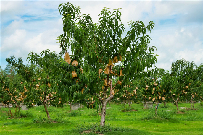 1565309212133583.jpg 微信圖片_20190809080313.jpg