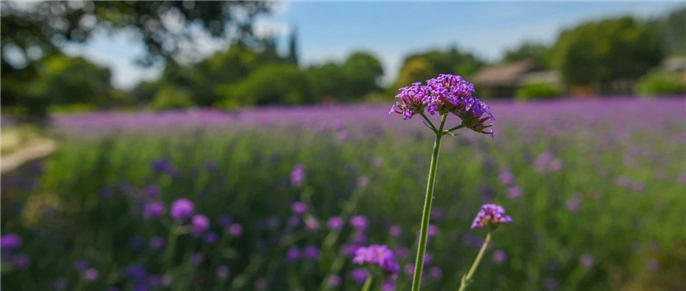 1565926153407775.jpg 微信圖片_20190816111652.jpg