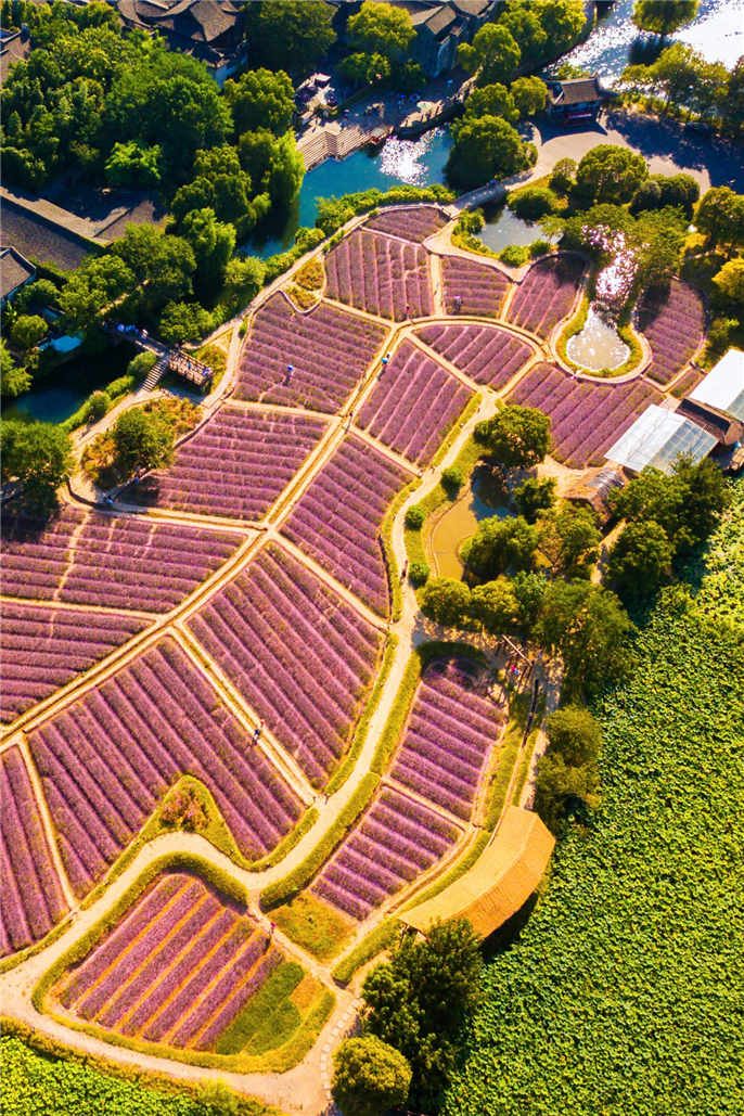 1565931618458150.jpg 微信圖片_20190816111705.jpg