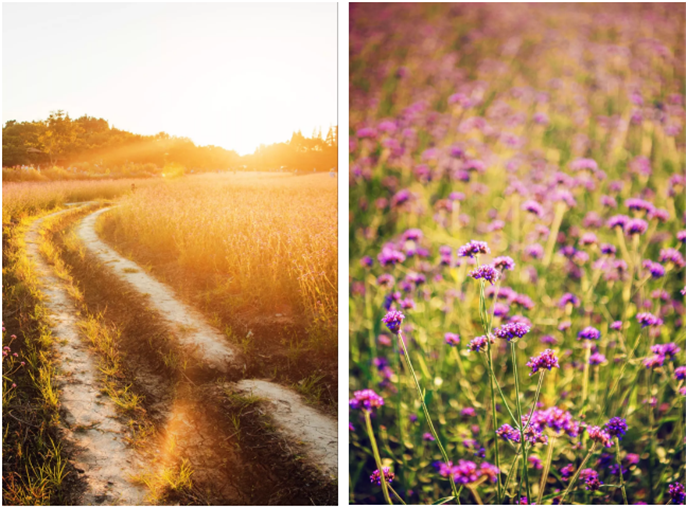 1565931688951822.png 微信圖片_20190816112236.png