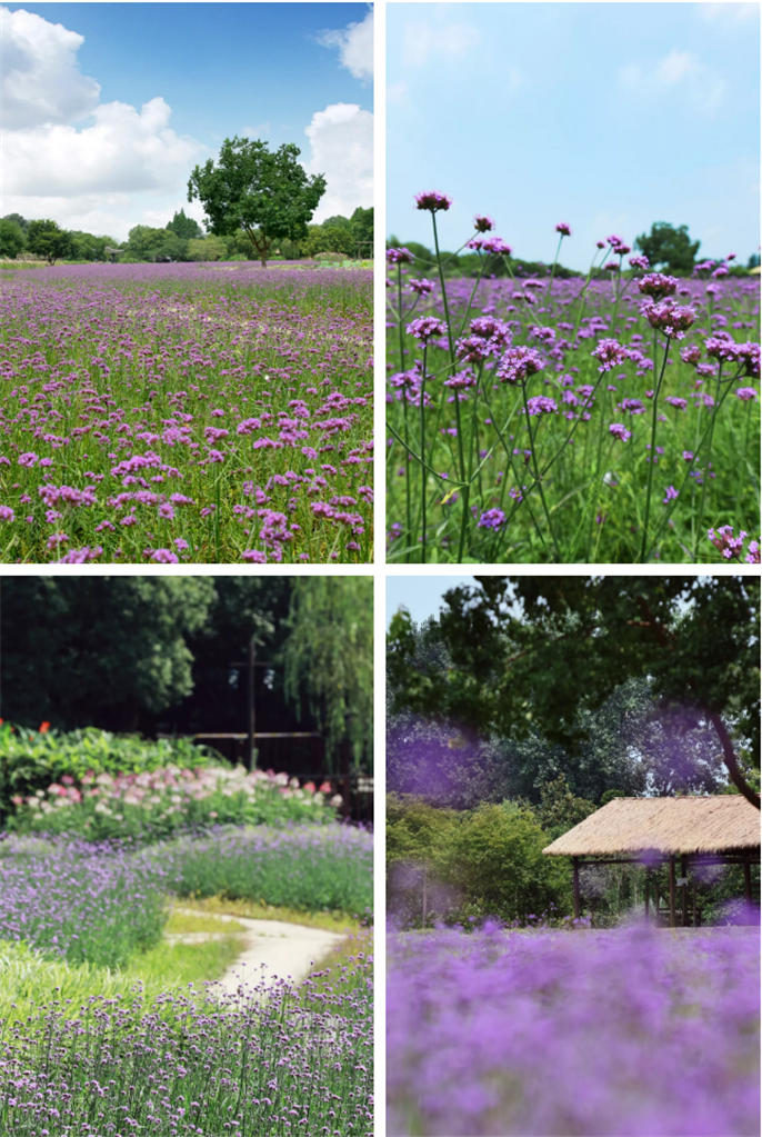 1565931711466146.png 微信圖片_20190816112241.png