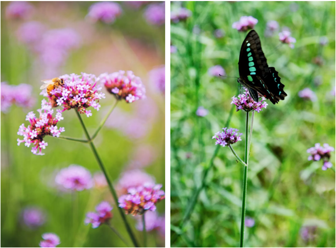 1565931914454668.png 微信圖片_20190816112244.png