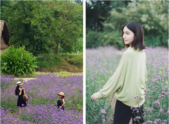 1565931933801238.png 微信圖片_20190816112246.png