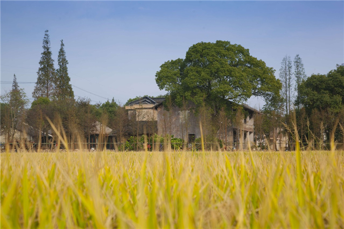 1567997086485441.jpg 微信圖片_20190909103133.jpg