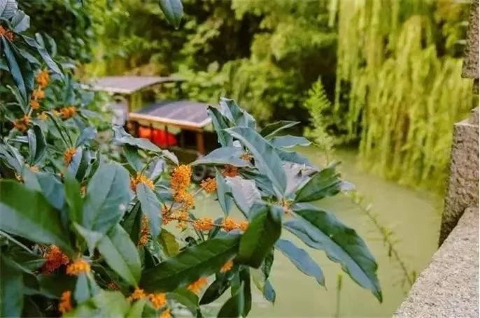 1567998256113197.jpg 微信圖片_20190909103217.jpg