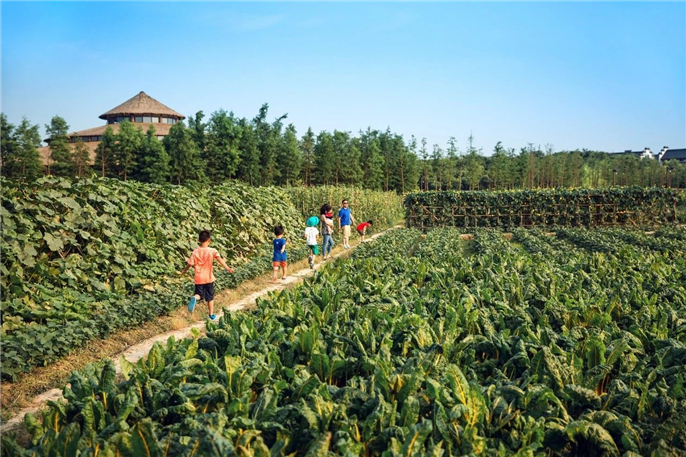 1568943569827776.jpg 微信圖片_20190920093358.jpg