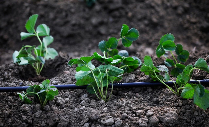 1568943677991856.jpg 微信圖片_20190920093400.jpg