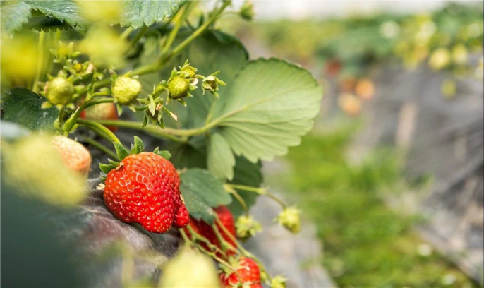 1568943787202058.jpg 微信圖片_20190920094204.jpg