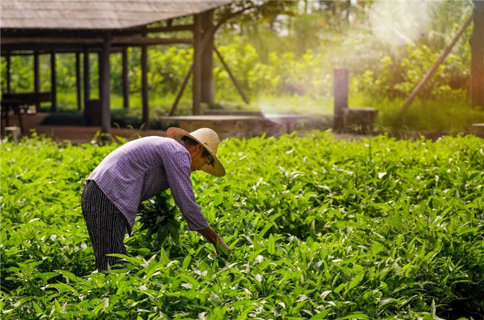 1568943951949564.jpg 微信圖片_20190920093410.jpg