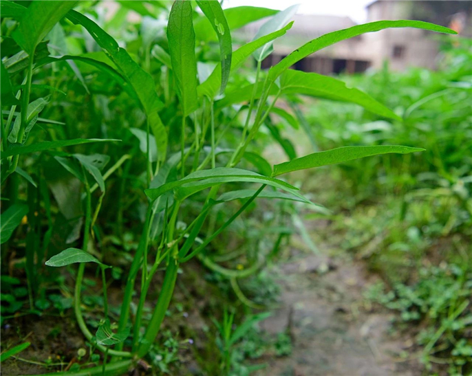 1568943966791333.jpg 微信圖片_20190920093413.jpg