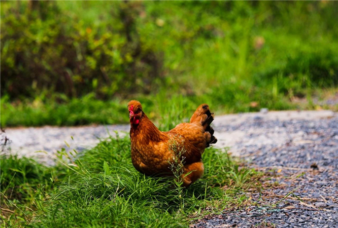 1568944000738394.jpg 微信圖片_20190920093419.jpg