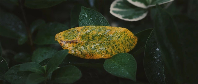 1570580105112999.jpg 微信圖片_20191009080439.jpg