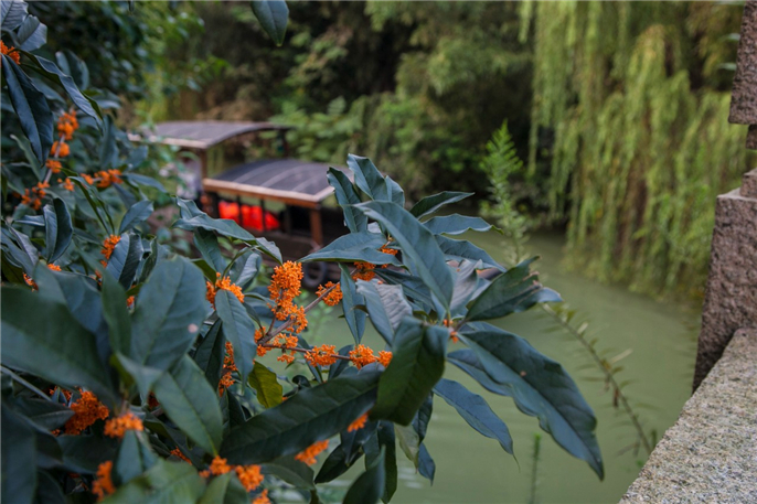 1570580843857091.jpg 微信圖片_20191009080503.jpg