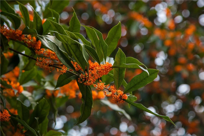 1570580887234136.jpg 微信圖片_20191009080505.jpg