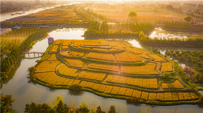 1573435813479443.jpg 微信圖片_20191107135058.jpg