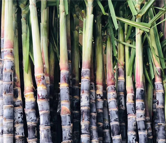 1573435878603782.jpg 微信圖片_20191107161708.jpg