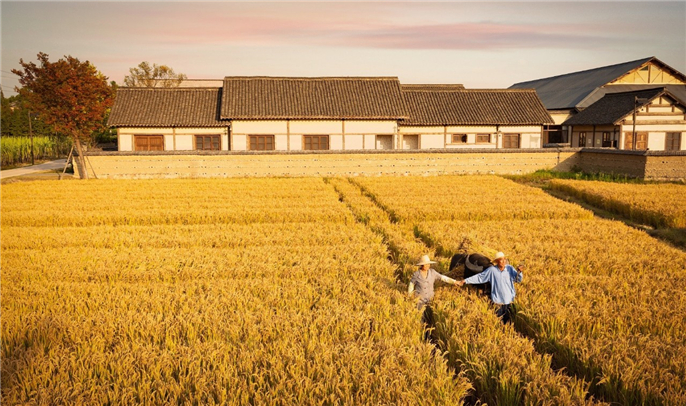 1573801520519177.jpg 微信圖片_20191115144719.jpg