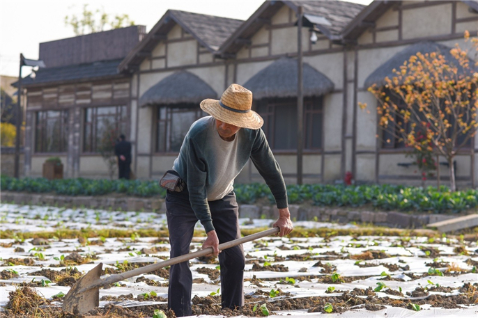 1573801531954871.jpg 微信圖片_20191115144731.jpg